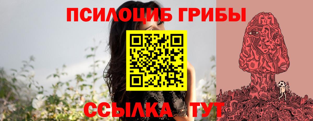 Галлюциногенные грибы Psilocybe  Вход с VPN  Клин 